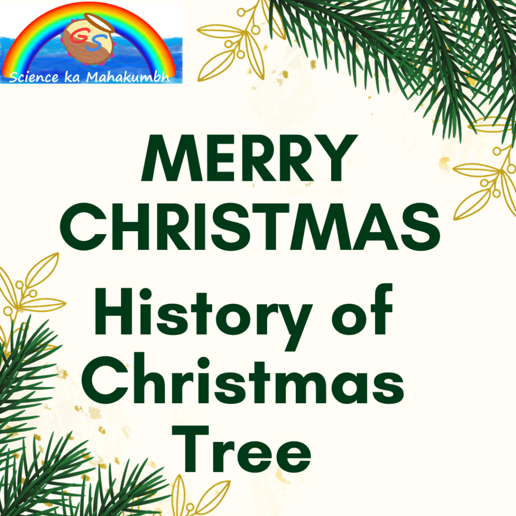 Merry Christmas : History of Christmas Tree