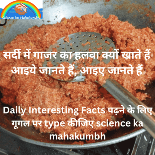 सर्दी में गाजर का हलवा क्यों खाते हैं आइये जानते हैं | Let us know why we eat carrot halwa in winter