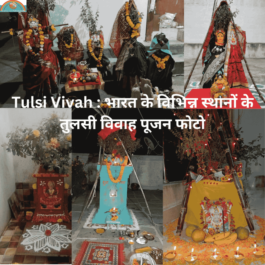 Tulsi Vivah : भारत के विभिन्न स्थानों के तुलसी विवाह पूजन फोटो