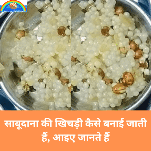 साबूदाना की खिचड़ी कैसे बनाई जाती हैं, आइए जानते हैं