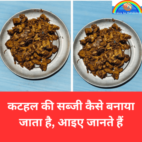 कटहल की सब्जी कैसे बनाया जाता है, आइए जानते हैं