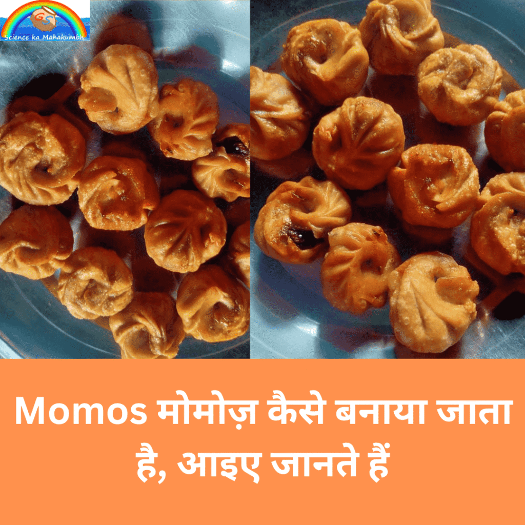 Momos मोमोज़ कैसे बनाया जाता है, आइए जानते हैं
