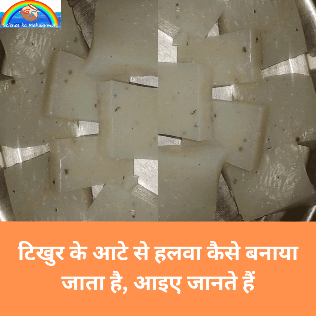 टिखुर के आटे से हलवा कैसे बनाया जाता है, आइए जानते हैं