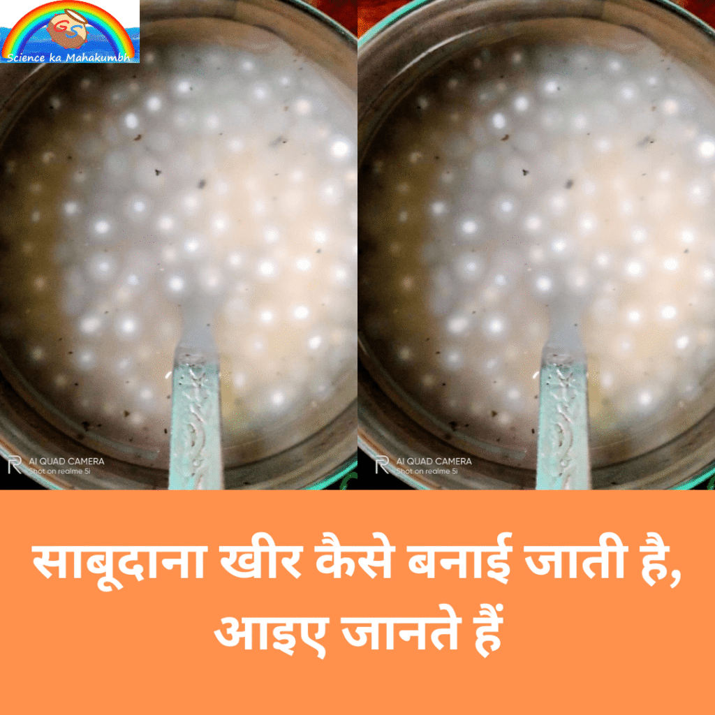 साबूदाना खीर कैसे बनाई जाती है, आइए जानते हैं