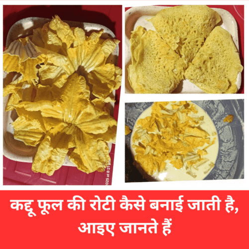कद्दू फूल की रोटी कैसे बनाई जाती है, आइए जानते हैं