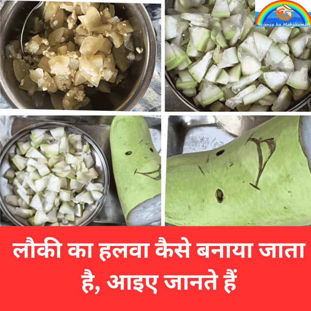 लौकी का हलवा कैसे बनाया जाता है, आइए जानते हैं